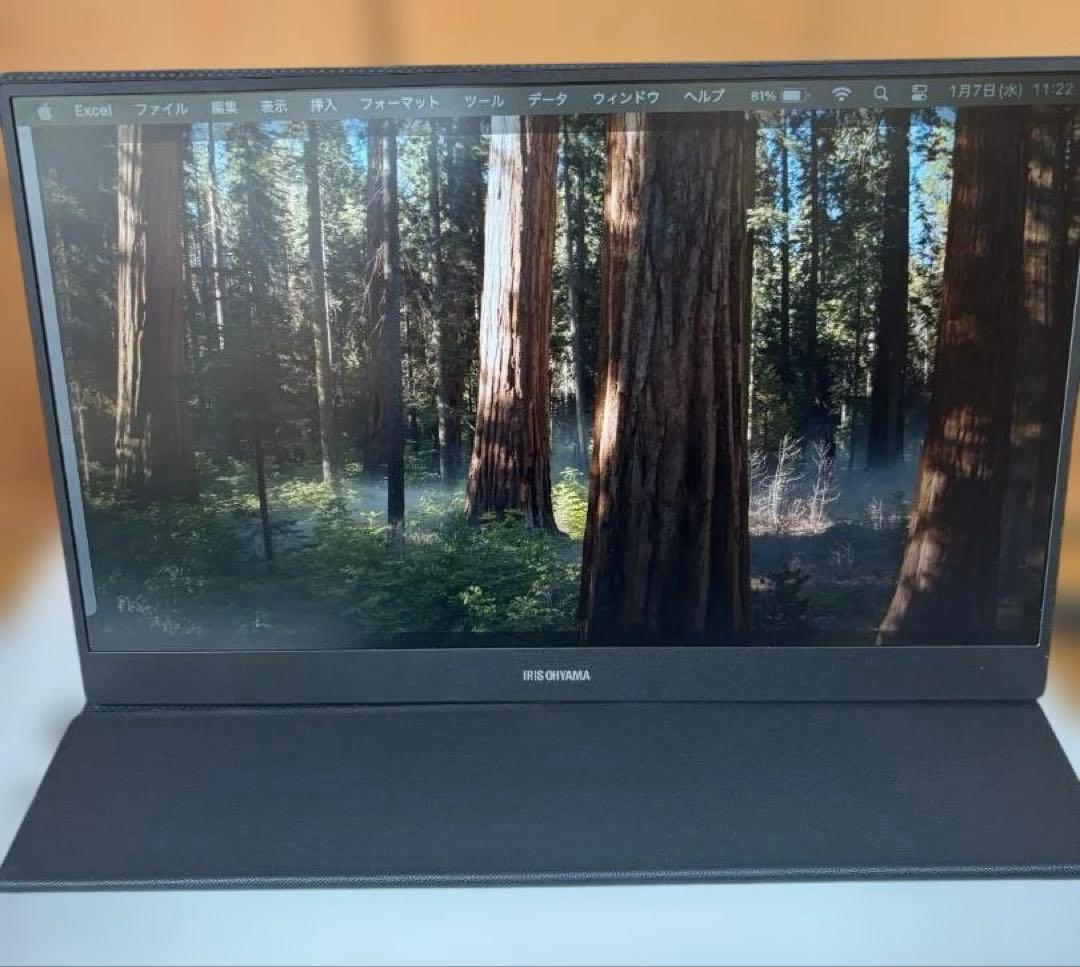 アイリスオーヤマ15.6型薄型ポータブルモニター DP-DF163S-B【美品】