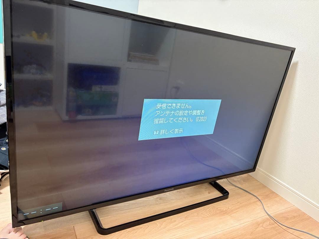 Panasonic TH-43E300 43インチ液晶テレビ
