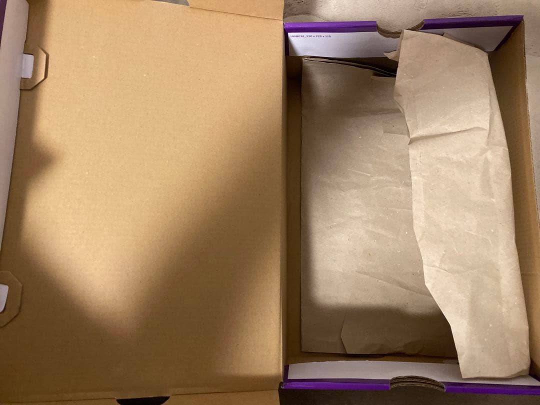 新品 NIKE SB DUNK LOW ナイキエスビー ダンクロー US10