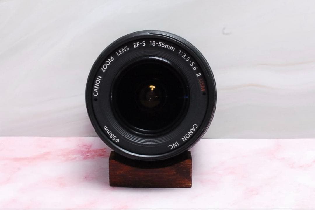 ✨大切な瞬間を逃さない✨Canon Kiss X7 超軽量❣️高画質❣️