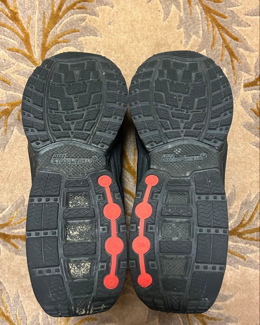 靴 NIKE Air Max Dn Roam