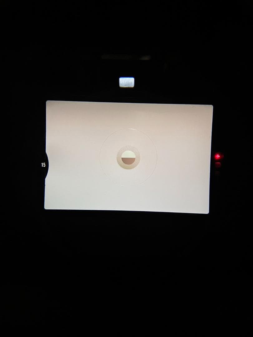 新品級 ニコン NEW FM2 シルバー フィルム　モルト新品交換済 B571