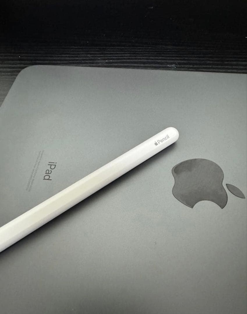 iPad Pro 11インチ　第2世代 128G 本体