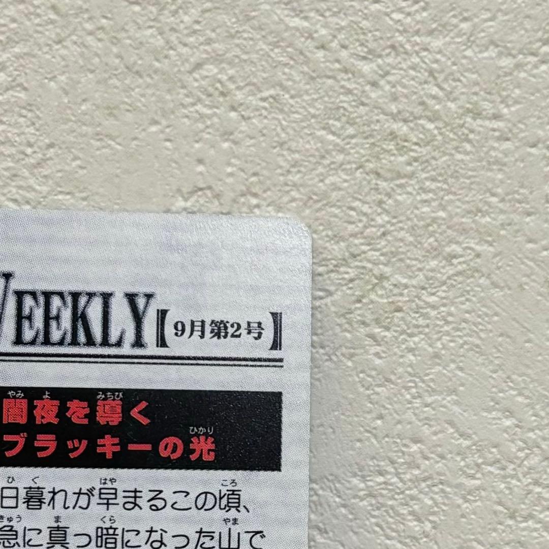 No.36「闇夜を導くブラッキーの光」