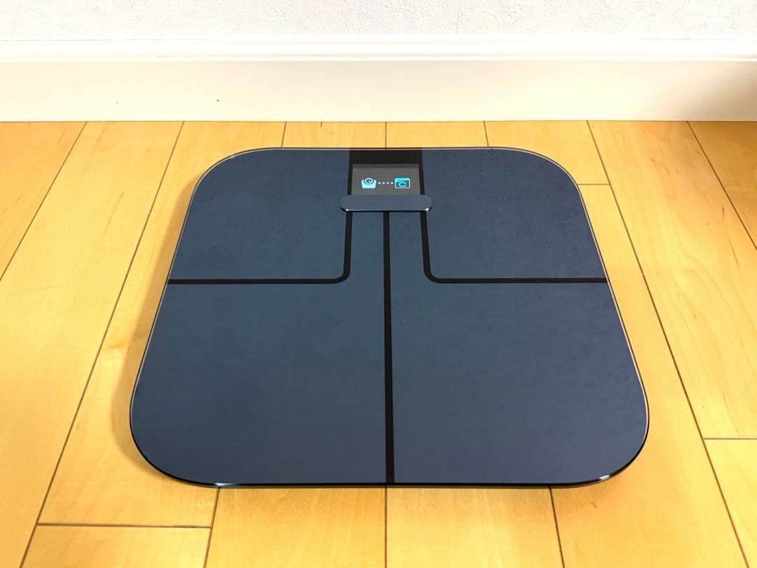 健康管理・計測計 GARMIN Index S2 Black