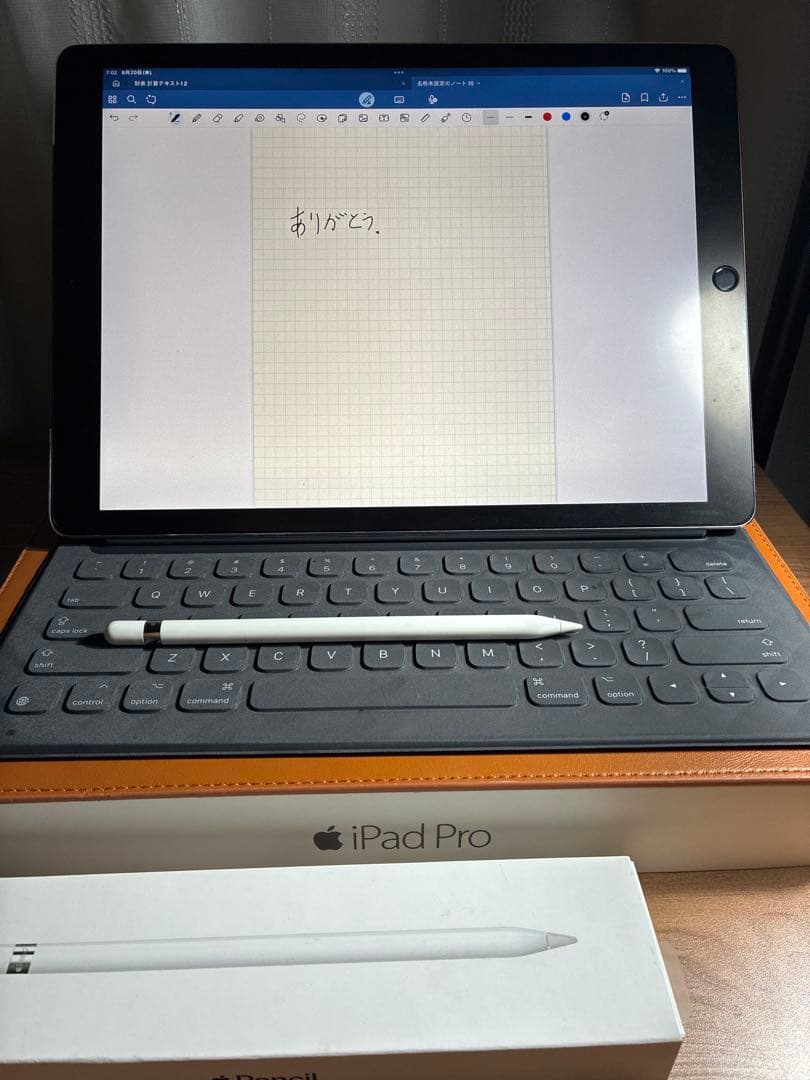 iPad Pro 12.9㌅最大容量100%