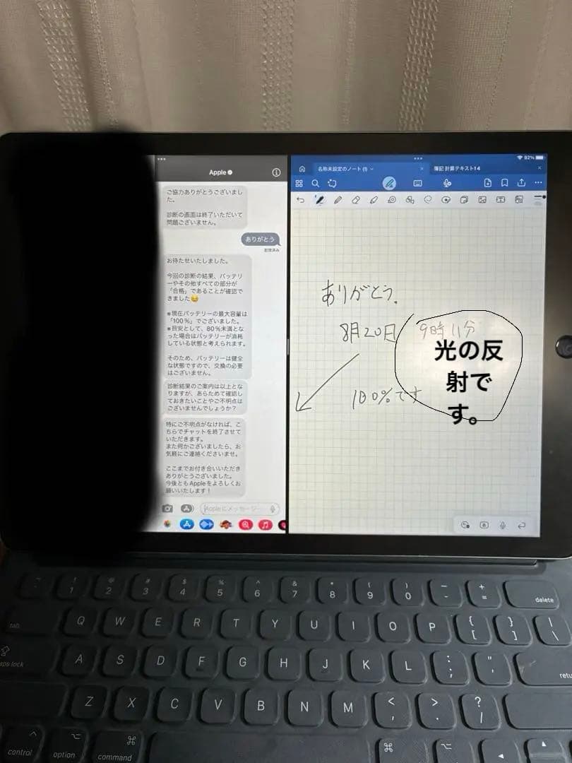 iPad Pro 12.9㌅最大容量100%