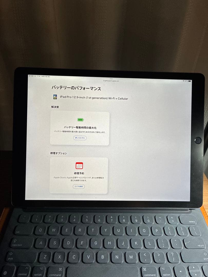 iPad Pro 12.9㌅最大容量100%