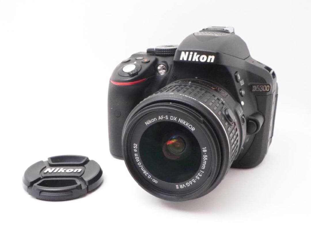 デジタルカメラ Nikon D5300 + AF-S 18-55mm F3.5-5.6 #186