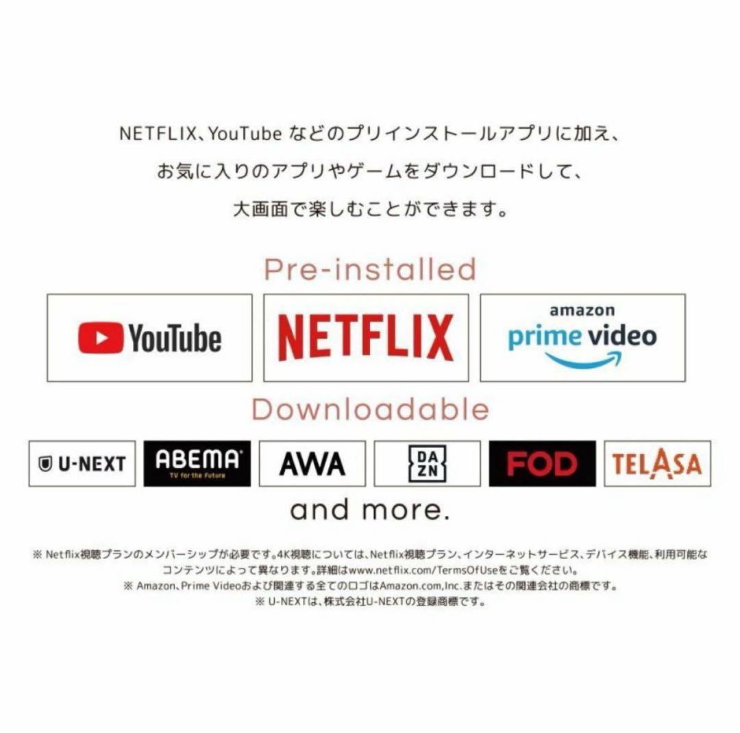 【新品未開封】ポータブルチューナーレステレビオリオン24PDG-241F