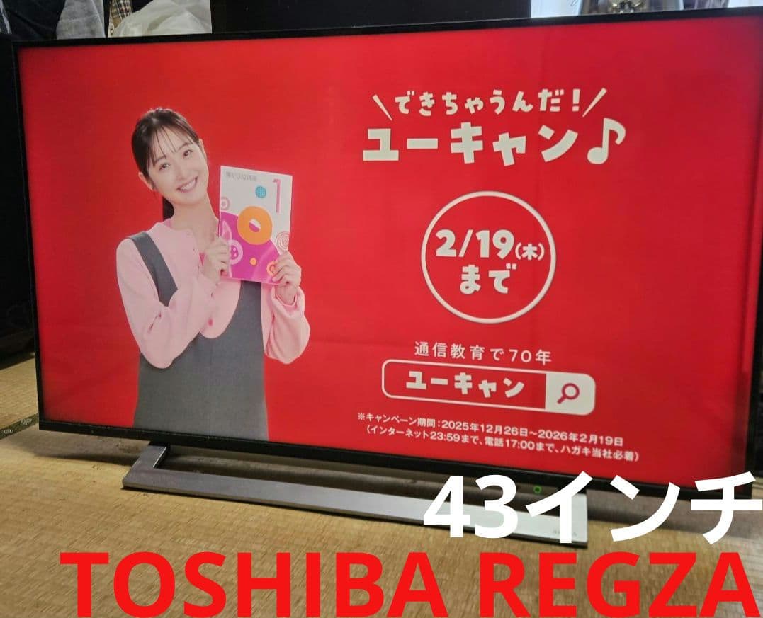 TOSHIBA REGZA43インチ43M530X 2019年製
