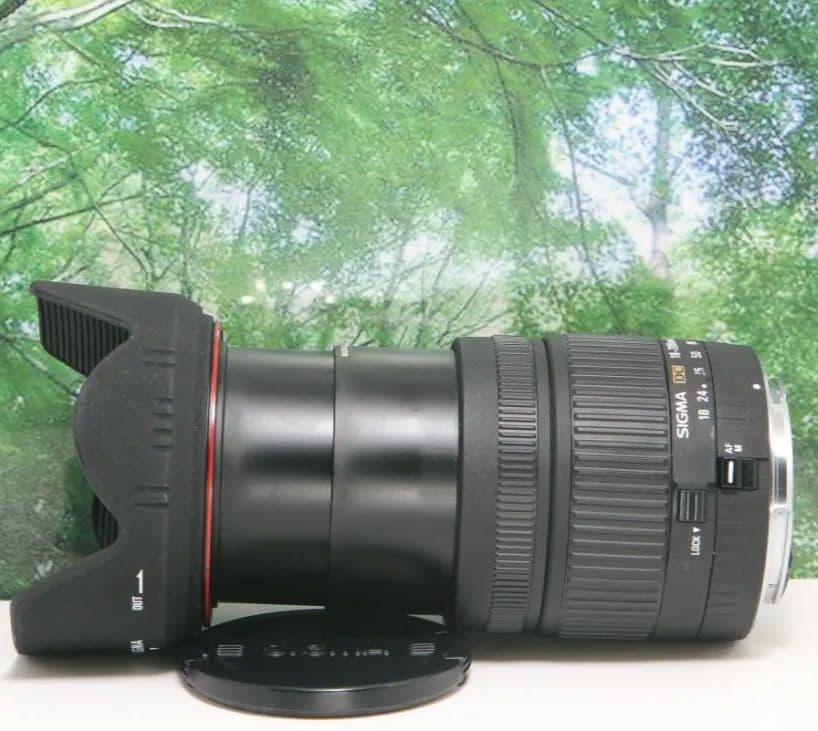 ❤近くから遠くまでこれ１本☆シグマ 18-200mm DC キャノン用❤