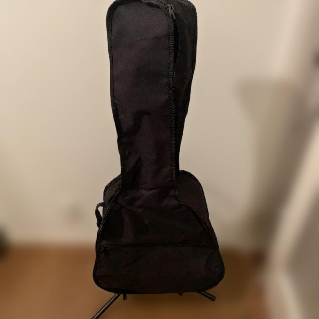 【送料無料】Epiphone アコースティックギター　PRO-1 Plus WR