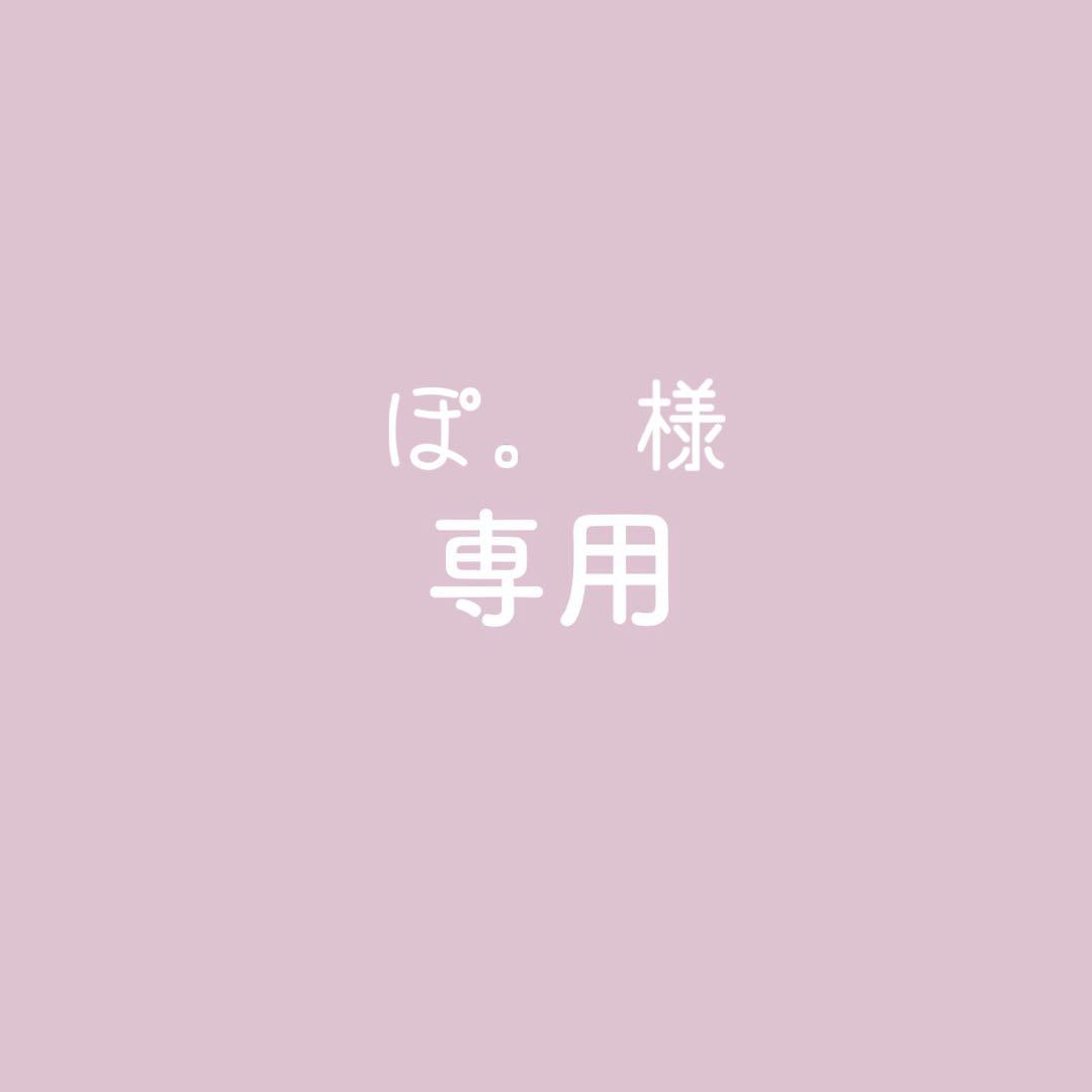専用ページ【ぽ。様】