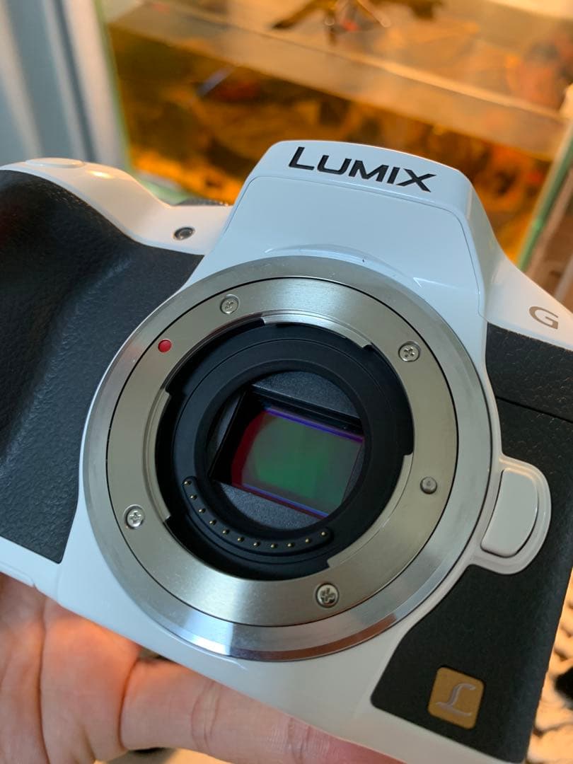 LUMIX G6 & DJI Ronin SC 映像制作用フルセット