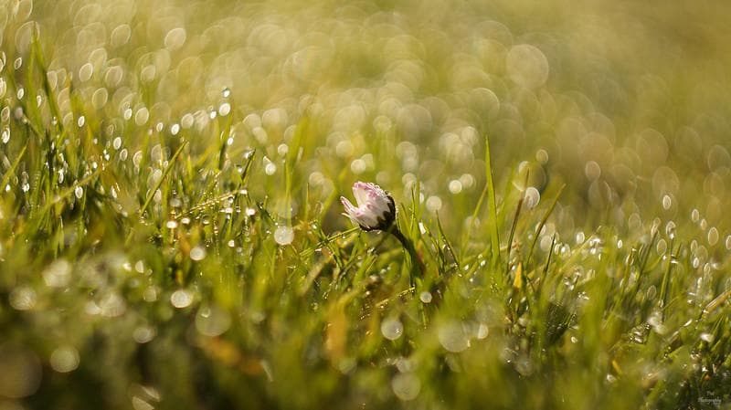 83 　新品未使用　ぐるぐるボケレンズ　ヘリオス　44M-4　M42アダプター付