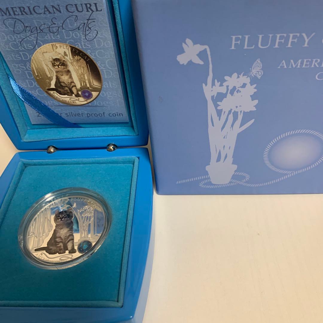 フィジー銀貨　アメリカンカール