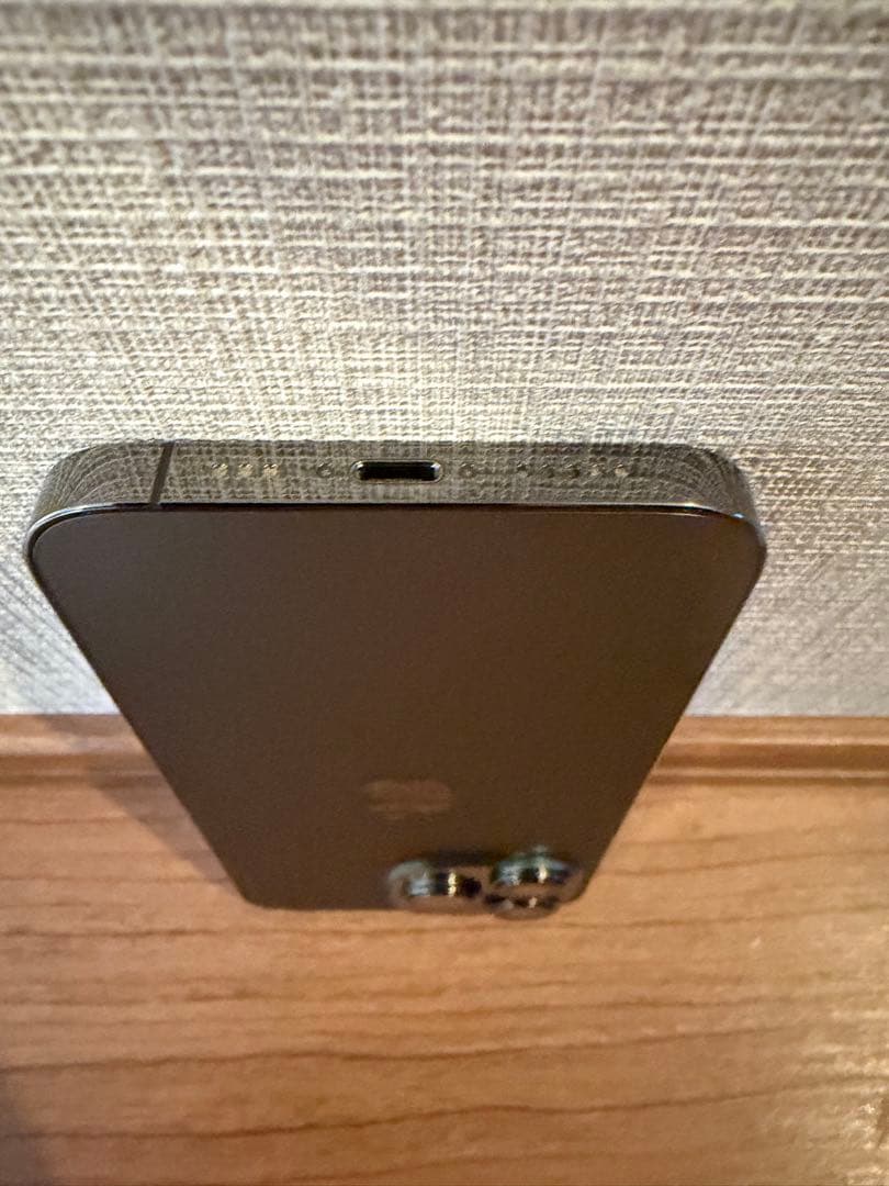 Apple iPhone 13 Pro 海外SIMフリー+おまけ保護画面フィルム