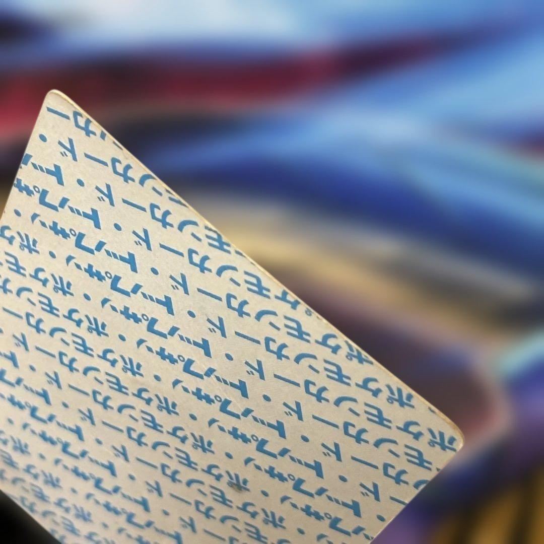 ポケモン トップサン リザードン 裏青