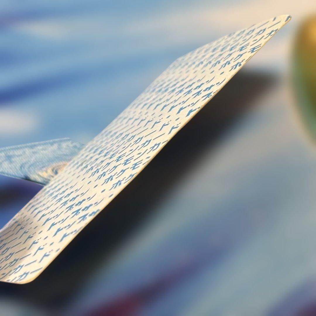 ポケモン トップサン リザードン 裏青