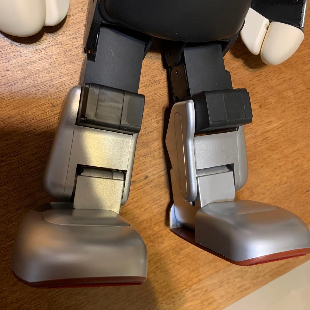 し*じ様 ロビ (ココロ2DX版)バッテリー不要、外部電源完動品　オーナー愛称登