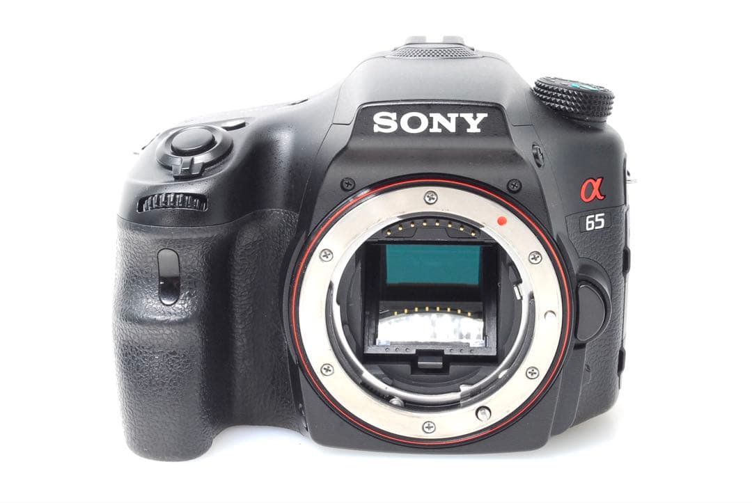 ✨1秒10コマの高速連射✨SONY α65✨ダブルレンズ✨超望遠✨超高画質✨