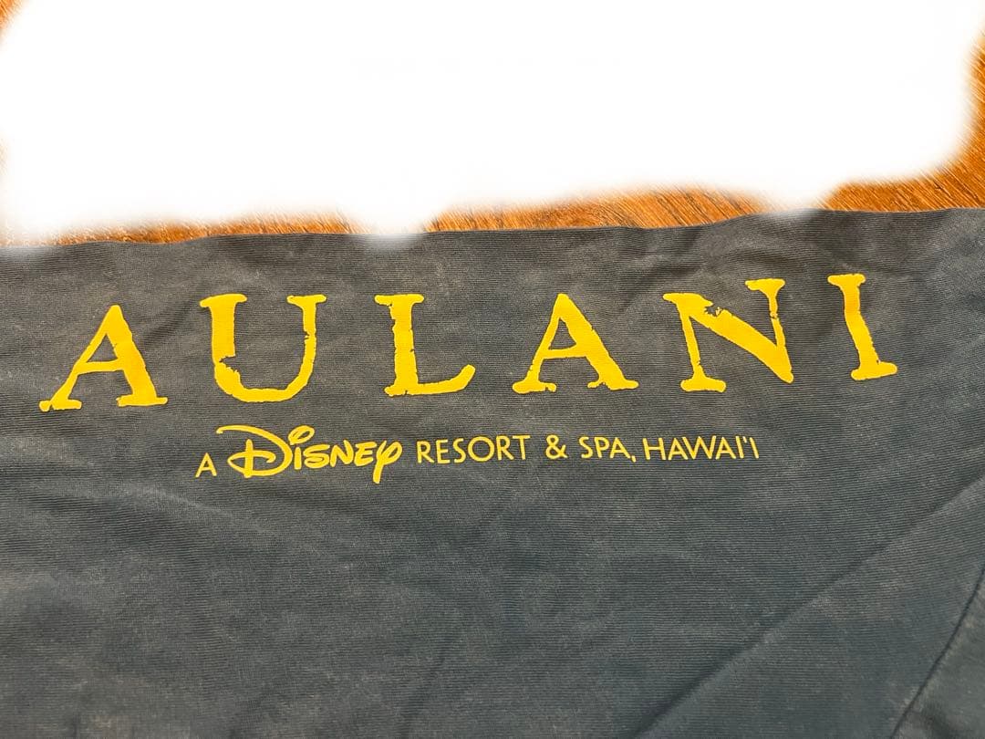 アウラニ　限定　パーカー　ハワイ　ディズニー　ホノルル　ミッキー　ミニー　レア