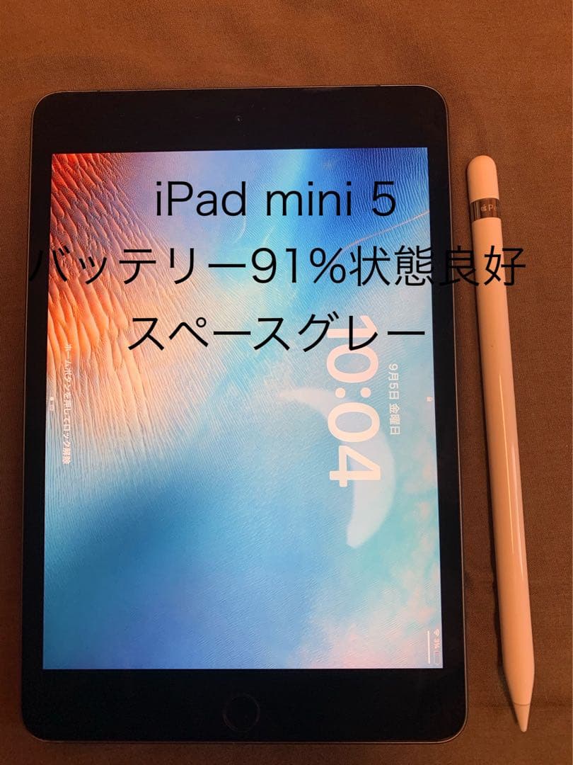 本日限定　iPad mini 5 Apple Pencil付き　64GB