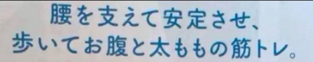 シャルレ　腰サポートガードル　90