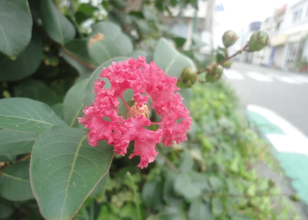 実写美⭕️美品【動作確認済】 SONY CyberShot DSC-W380