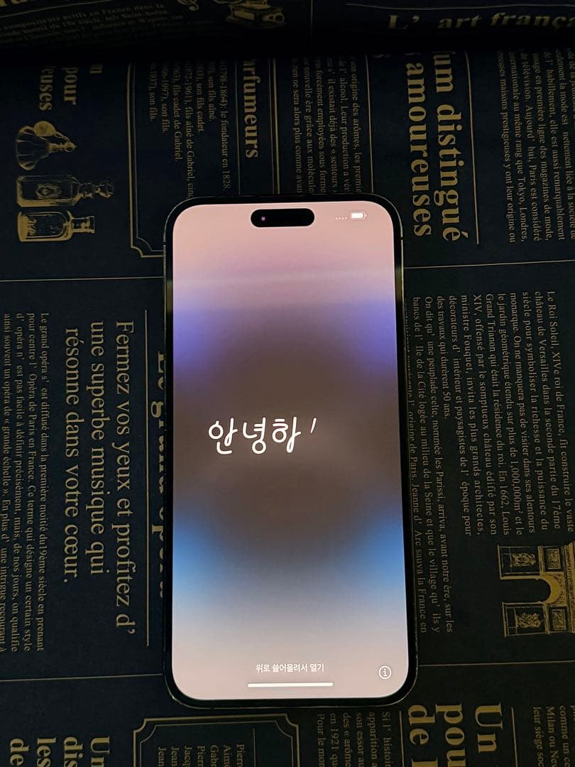 【中古　本体のみ】iPhone14 promax 1TB