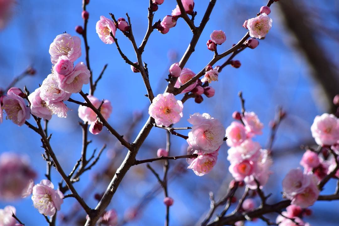 『外観美品　動作確認済』Nikon D5300 ダブルズームセット