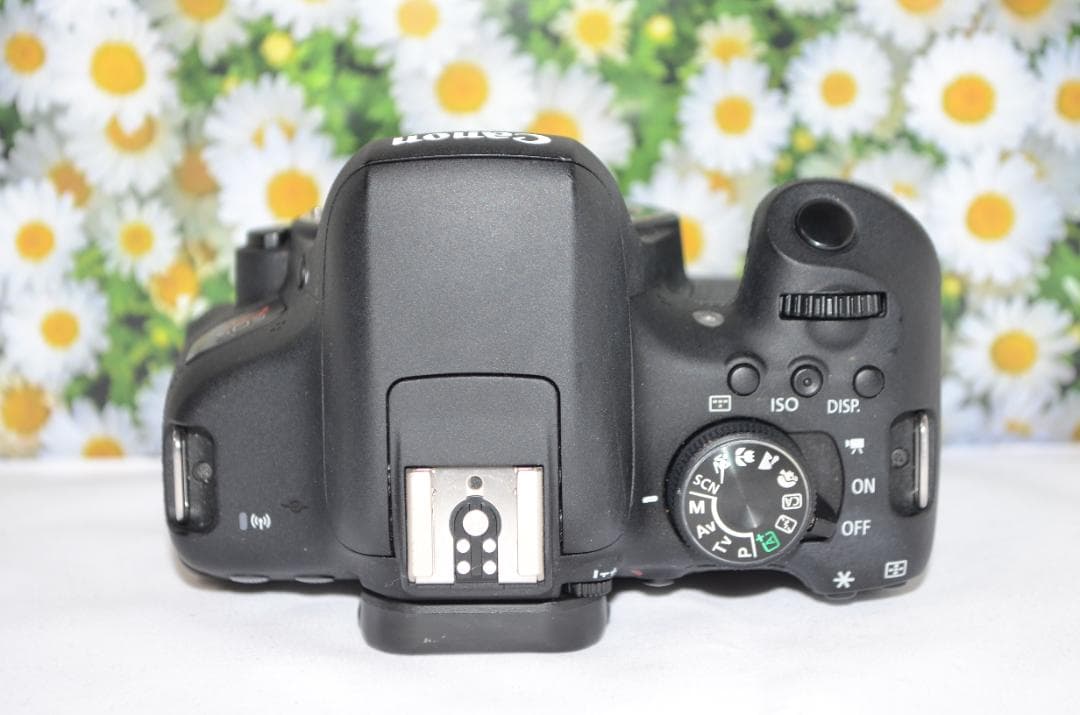 美品❤canon kiss x8i標準レンズセットCanon EF 28-80❤