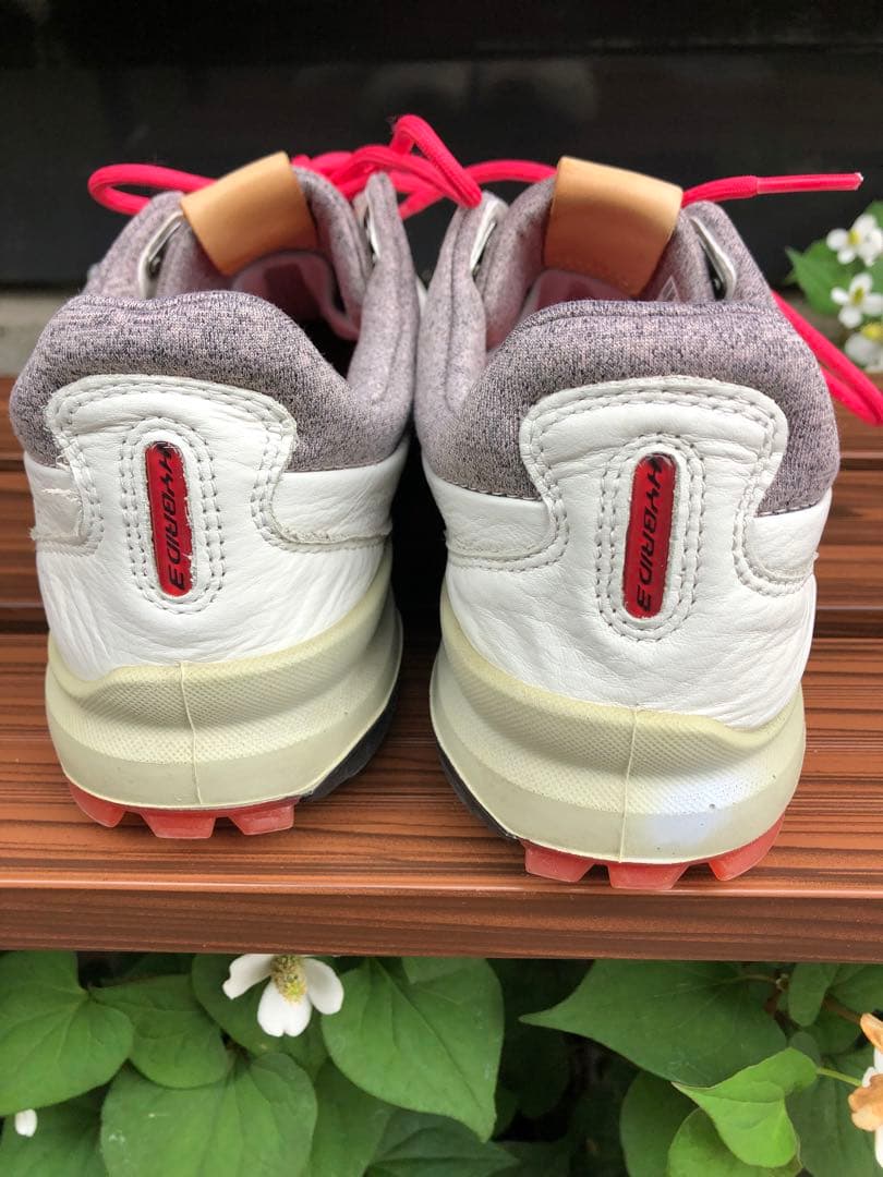 347番 美品ecco biom ゴルフシューズ38 24.0cmスパイクレス
