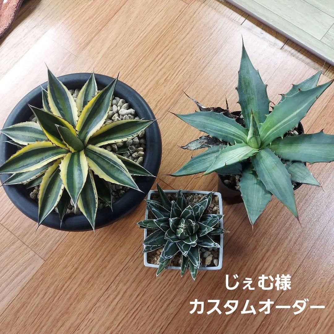 じぇむ様　カスタムオーダー　同梱割引適用済み