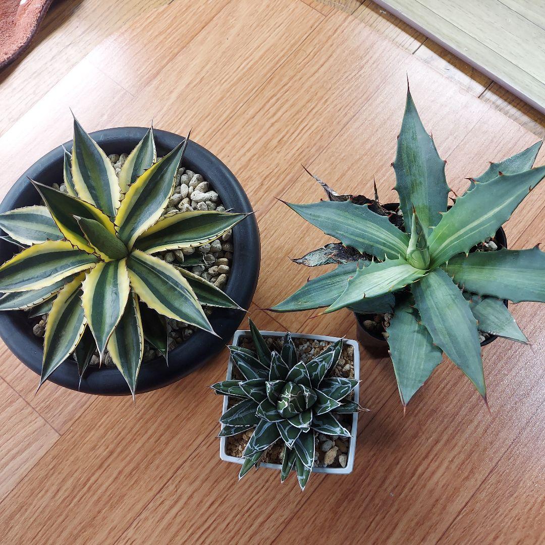 じぇむ様　カスタムオーダー　同梱割引適用済み