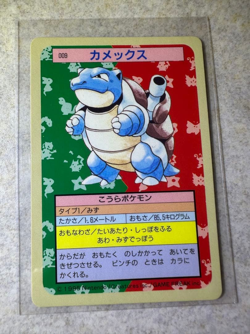 初期 希少 ポケモンカード トップサン カメックス 裏面青