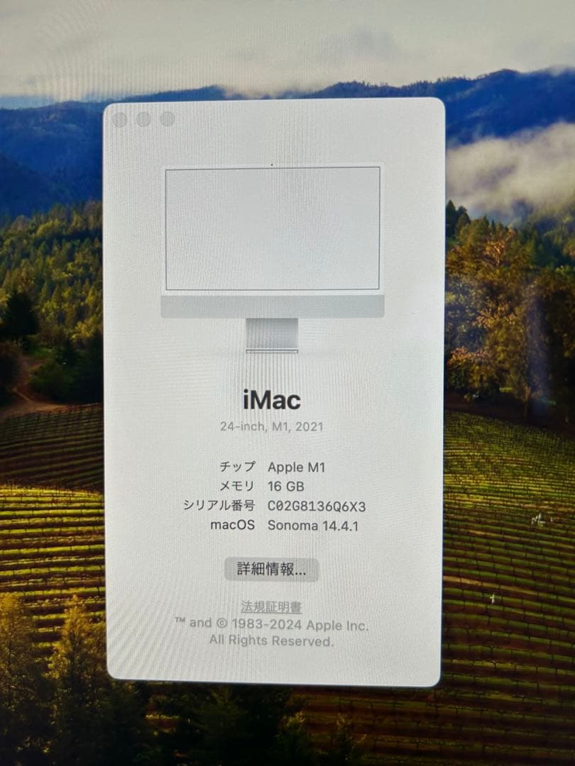 は*な様 最終値下げApple iMac 24-inch M1 2021