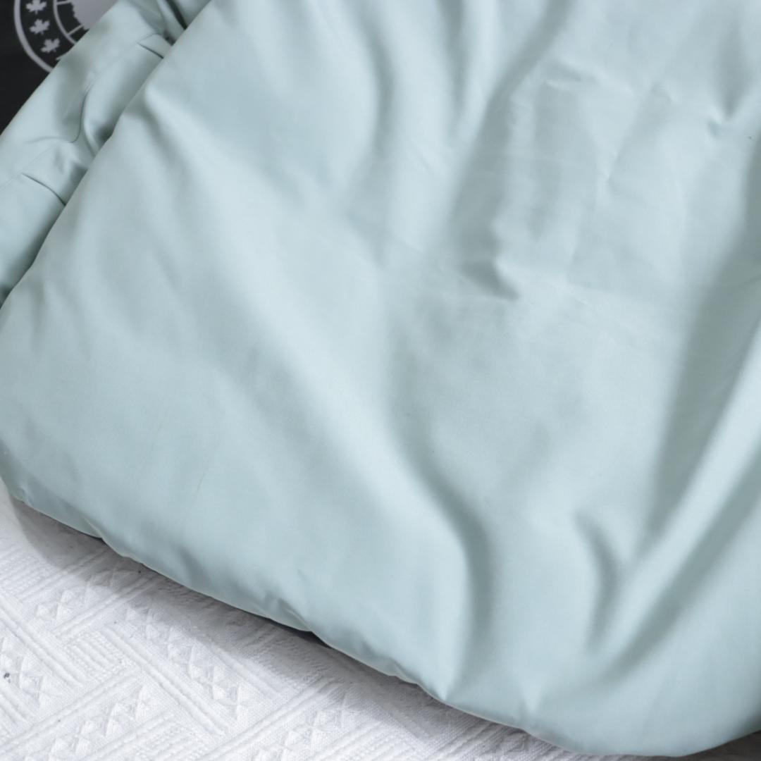 希少！カナダグース ダウンジャケット　ブレイクリーパーカ　ライトブルーサザビー