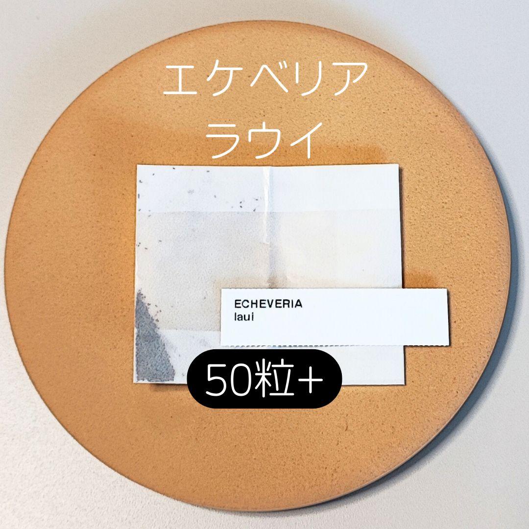 ゆゆ様 リクエスト 8点 まとめ商品