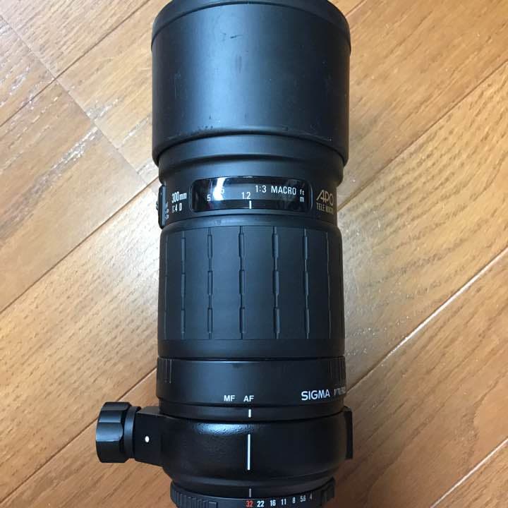 SIGMA 300mm レンズ