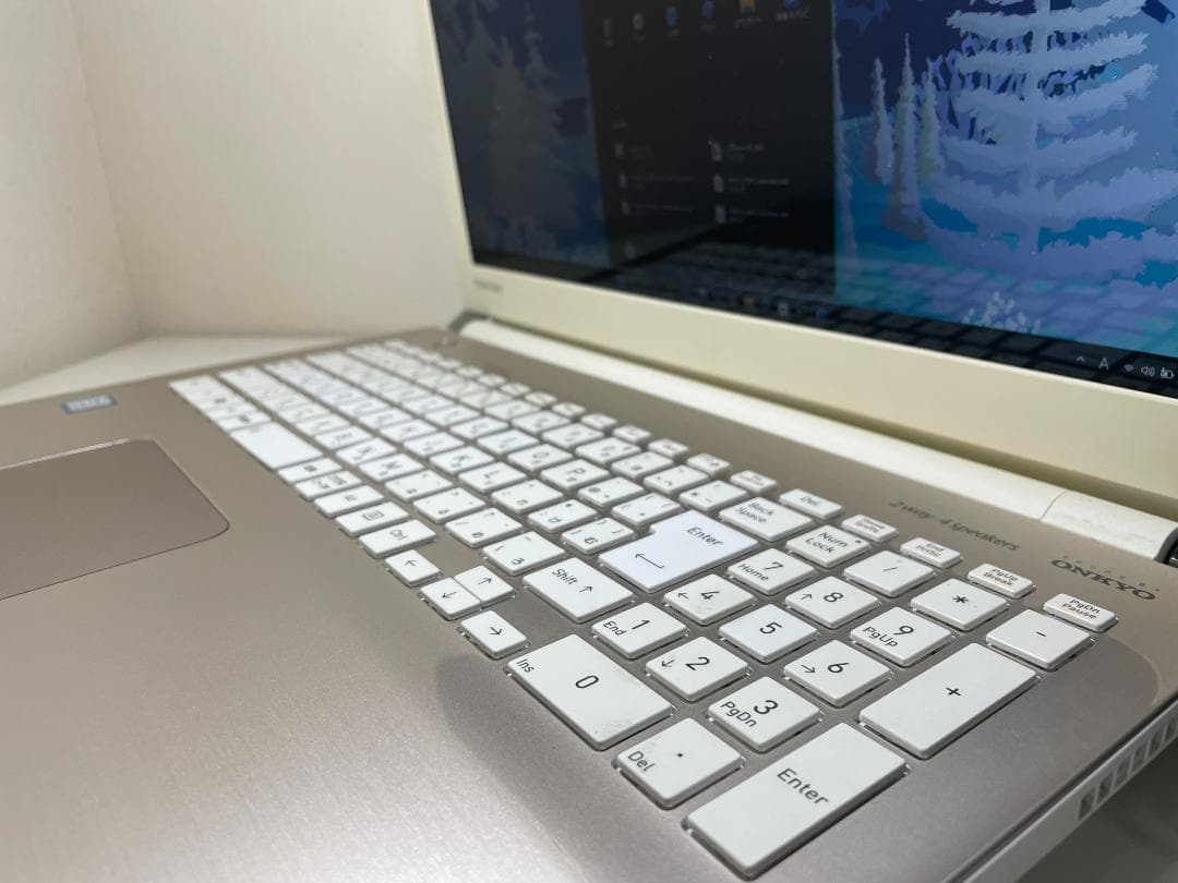 第8世代ＤynabookEX/5GG i5-8250U SSD256G M16G