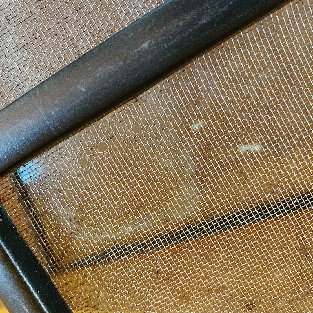 エキゾテラ　グラステラリウム　ガラスケース