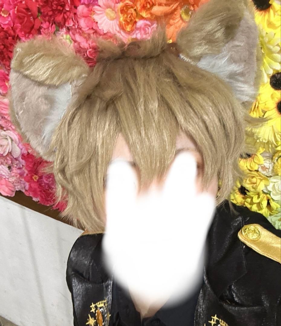 ラギー ウィッグ 耳 尻尾