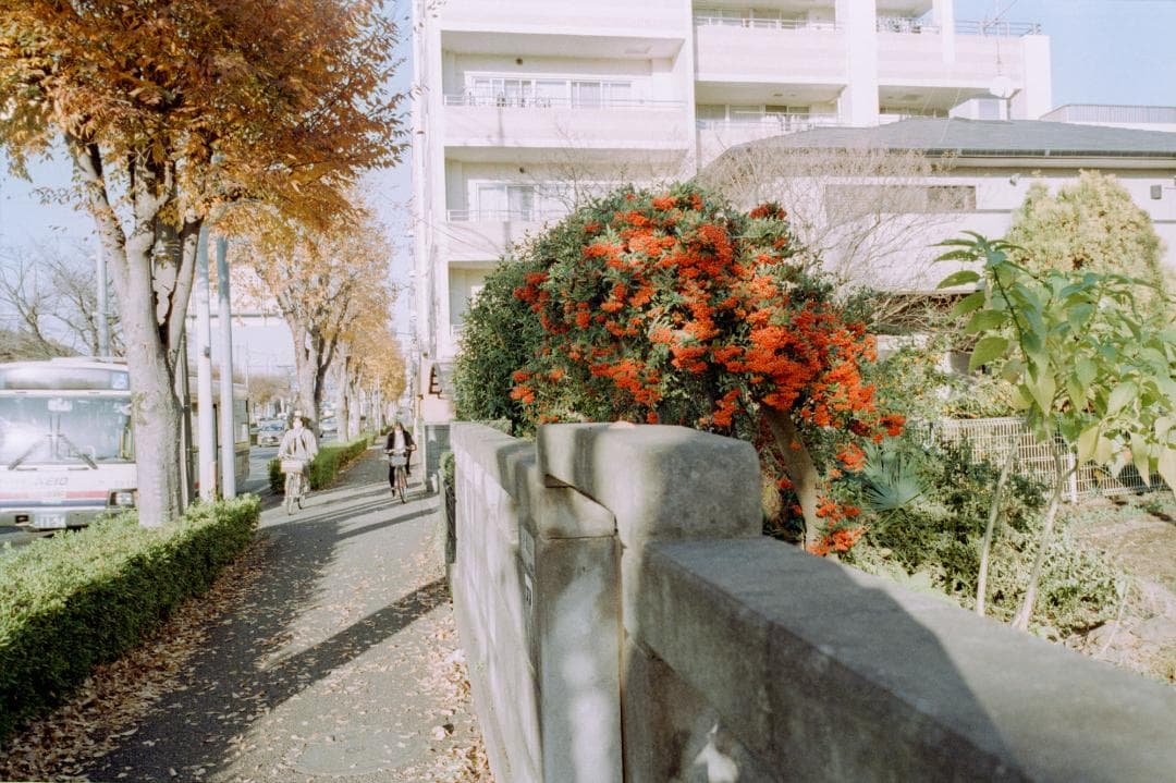 フィルムカメラ Contax G1 - Silver Label