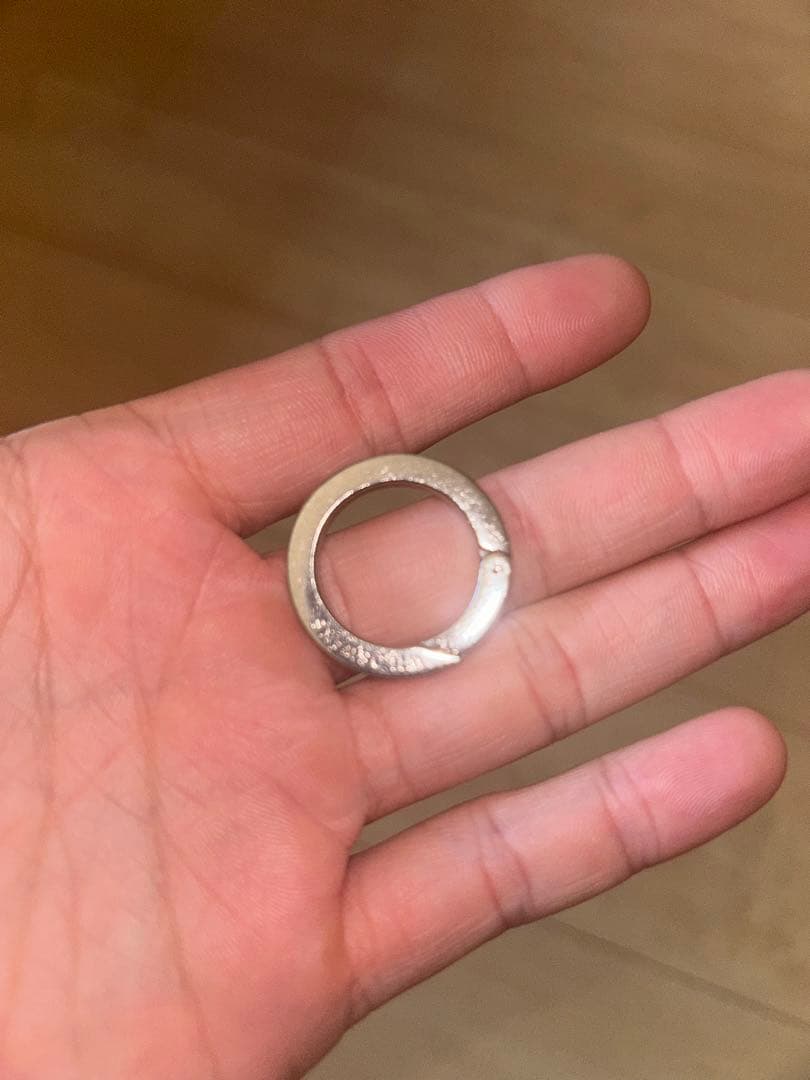 WILD SWANS BRANCH カラビナM