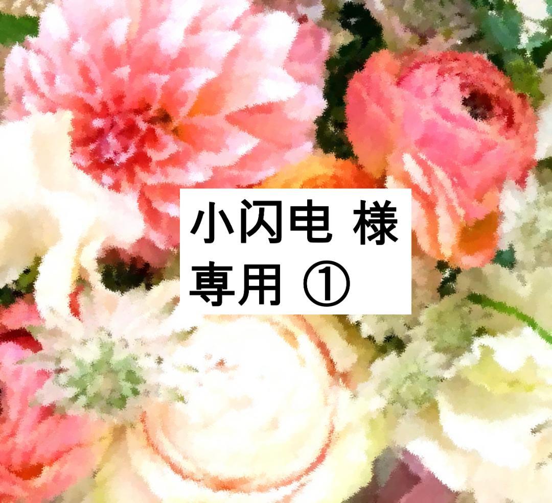 小闪电 ① 2022年 最新版 フルセット 未開封ディスク55枚 未使用