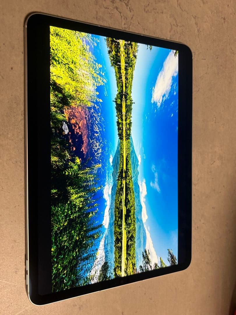 Apple iPad Pro 第3世代 シルバー　SIM対応　たら