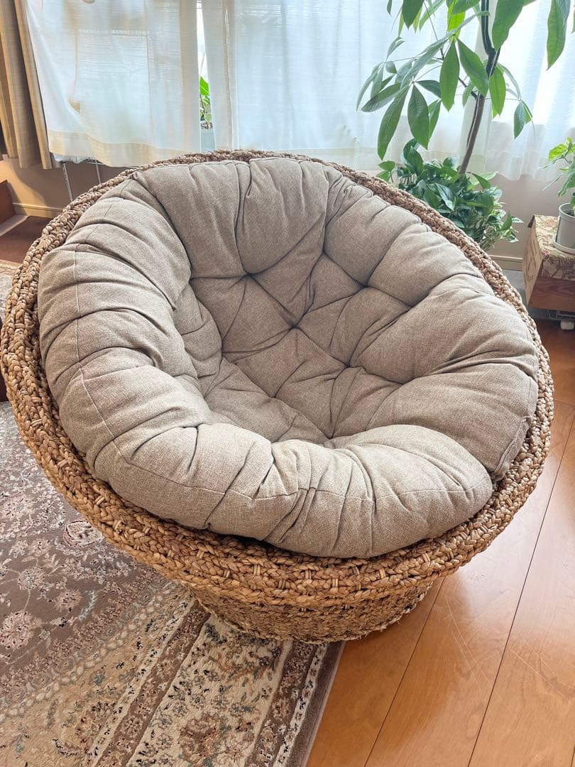 パパサンチェア　ウォーターヒヤシンス