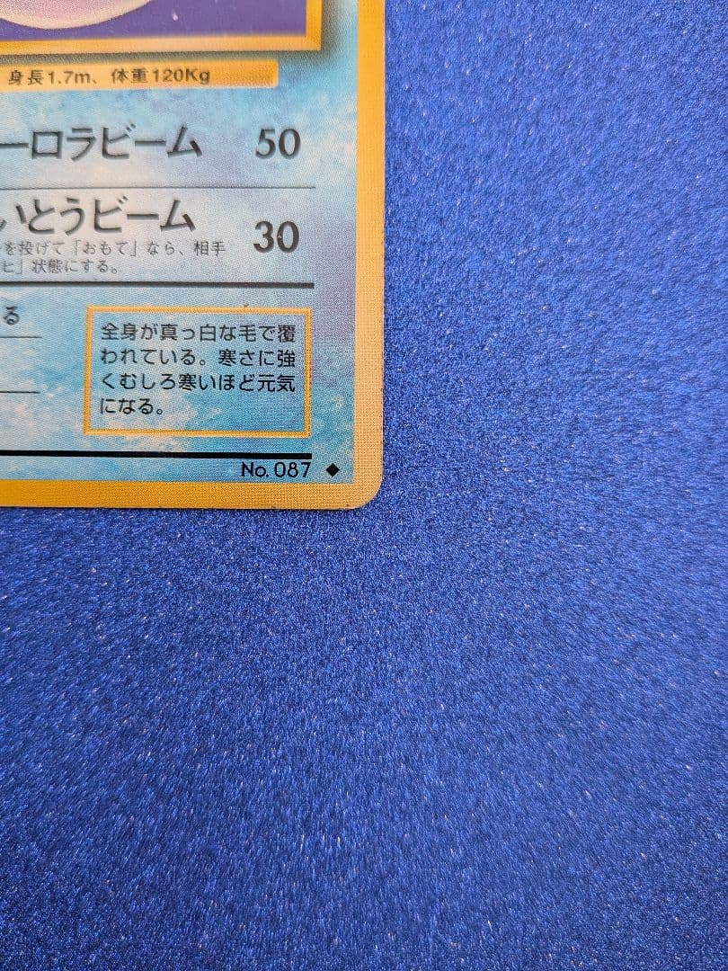 ポケモンカード ジュゴン HP80　旧裏